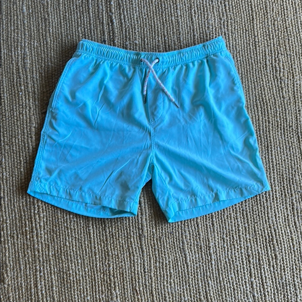 Charles and a Half Men's Aqua Swim Trunks